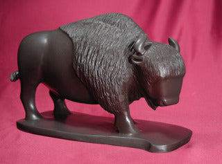 Bison