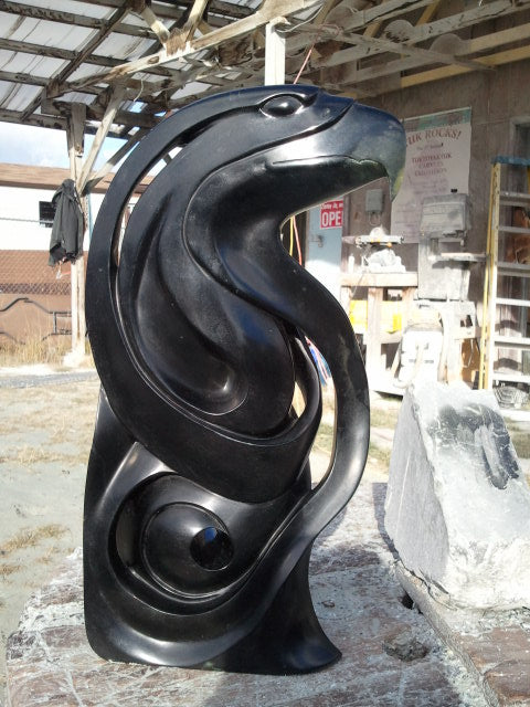 Eagle in the Wind