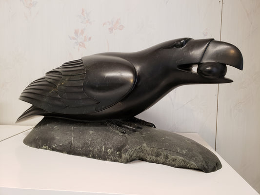 Raven Catch