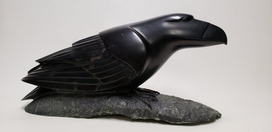 Raven Perching